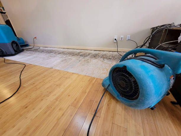 Professional Water Removal technician working in Spencer, SD